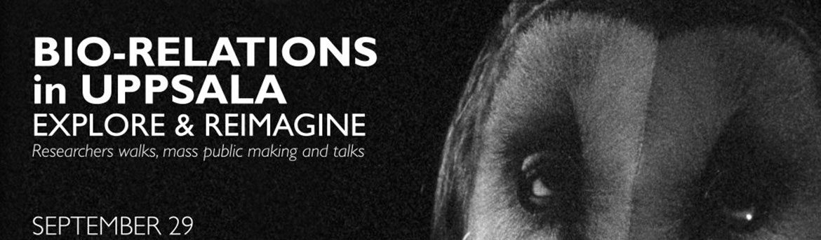 CEMUS – The Centre for Environment and Development Studies