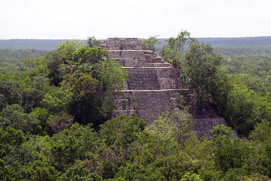 A massive stone pyramid structure amongst tropical forest, with trees growing from the terraces