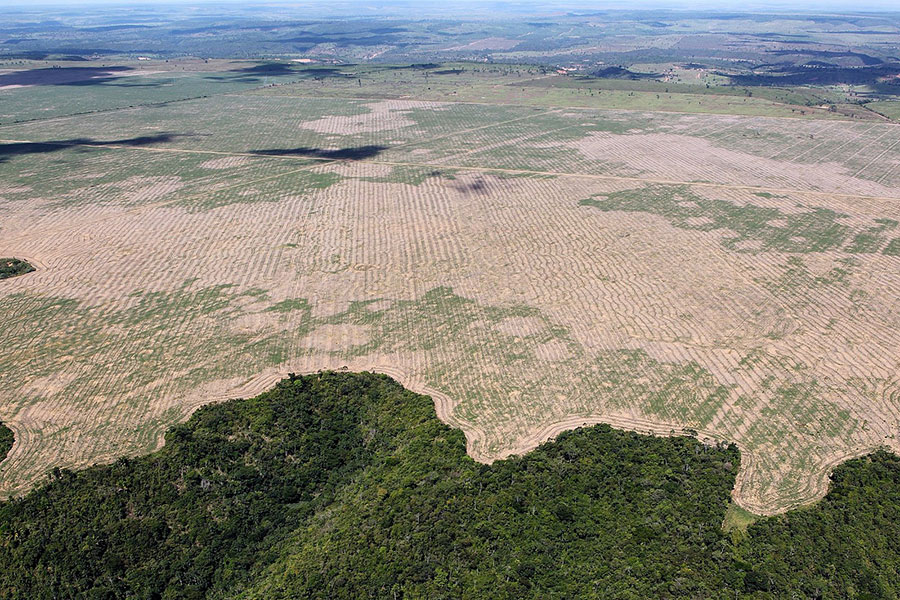 Aerial photo of dry grassland and forest, Gurupi Biological Reserve and the Caru and Alto Turiaçu Indigenous Lands, in Maranhão, Brazil