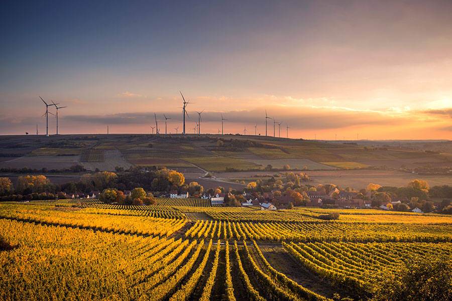 Photo of flowing landscape with yellow fields and wind mills in the distant sunset