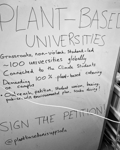 project-cafe-1-2025-5