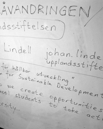 project-cafe-1-2025-6